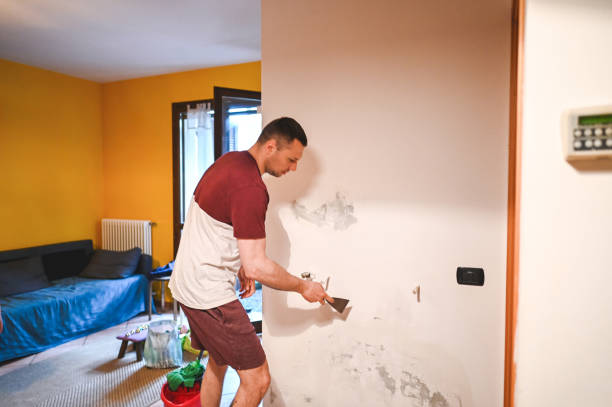 Mold Removal Process in Stamford, TX